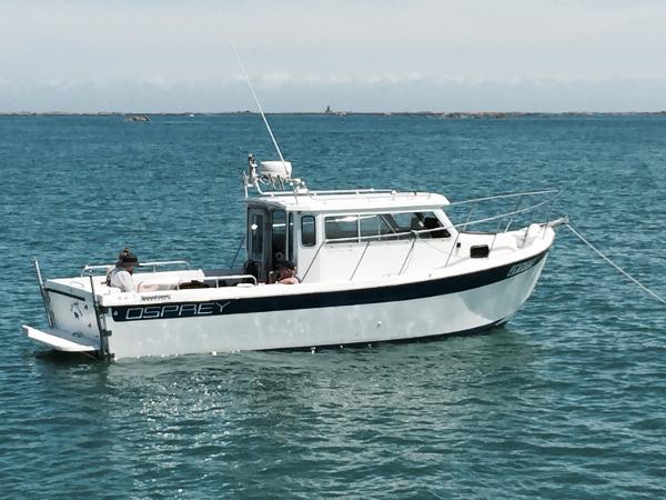 the osprey fishing boat