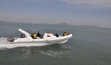 Lianya HYP830