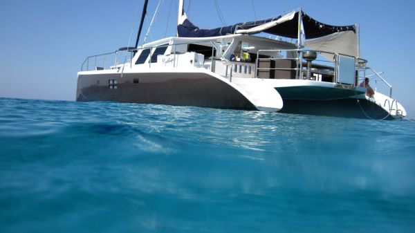 65ft cat outdoor dining