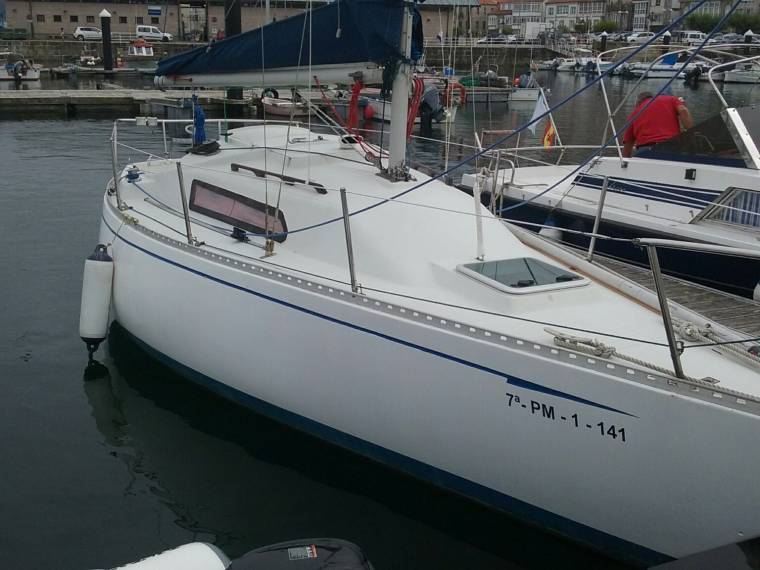 puma 24 puma 24