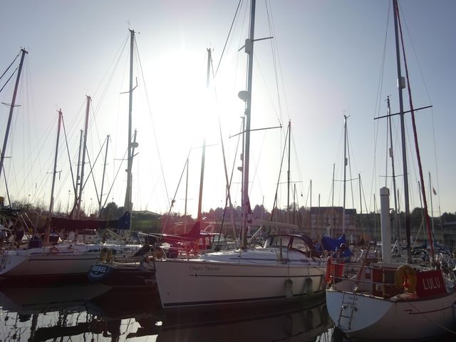 Bavaria 36