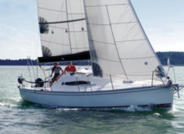 Delphia 26