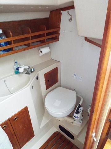 Heads, marine wc and shower area.