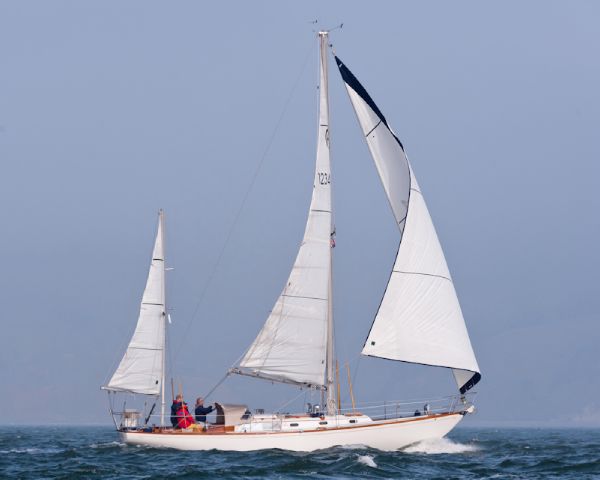 Bermuda 40