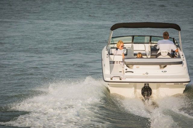 Sterndrive option: Sea Ray 19 SPX