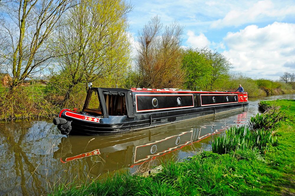 Houseboats: Tyler Wilson Semi Traditional Josher