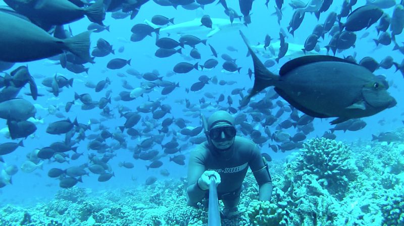 Javi free-diving Fakarava Fakarava Atoll, Tuamotus, French Polynesia