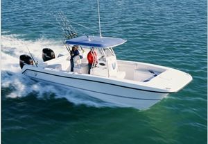 Twin Vee 29