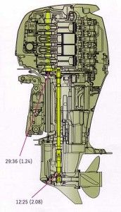 An off-set driveshaft positions the powerhead closer to the boat transom, and allows the placement of a 1.24:1 reduction gearset between the powerhead and the driveshaft. Combined with 2.08:1 reduction in the gearcase, the final drive ratio is a low 2.59:1.