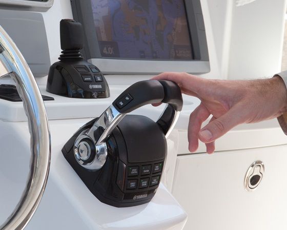 Digital control and joystick.2