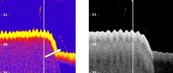 fishfinder transducer beams