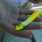 how to rig a fishing lure