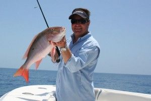 butterfly jig