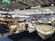 boot Dusseldorf: the Boat Show You Don't Want to Miss thumbnail