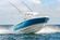 MarineMax To Acquire Iconic Powerboat Builder Intrepid Boats thumbnail