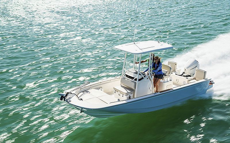 boston whaler 210 montauk
