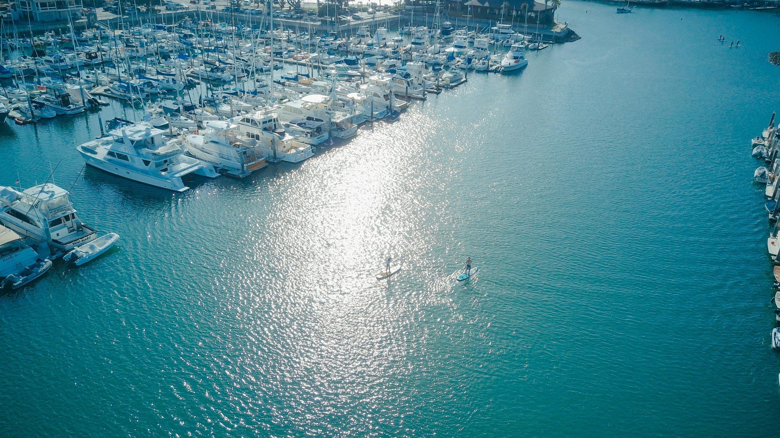 paddle boarders near boating marina