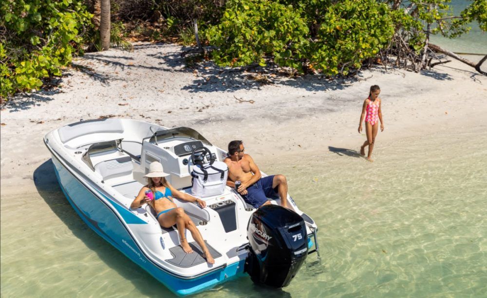 bayliner m17