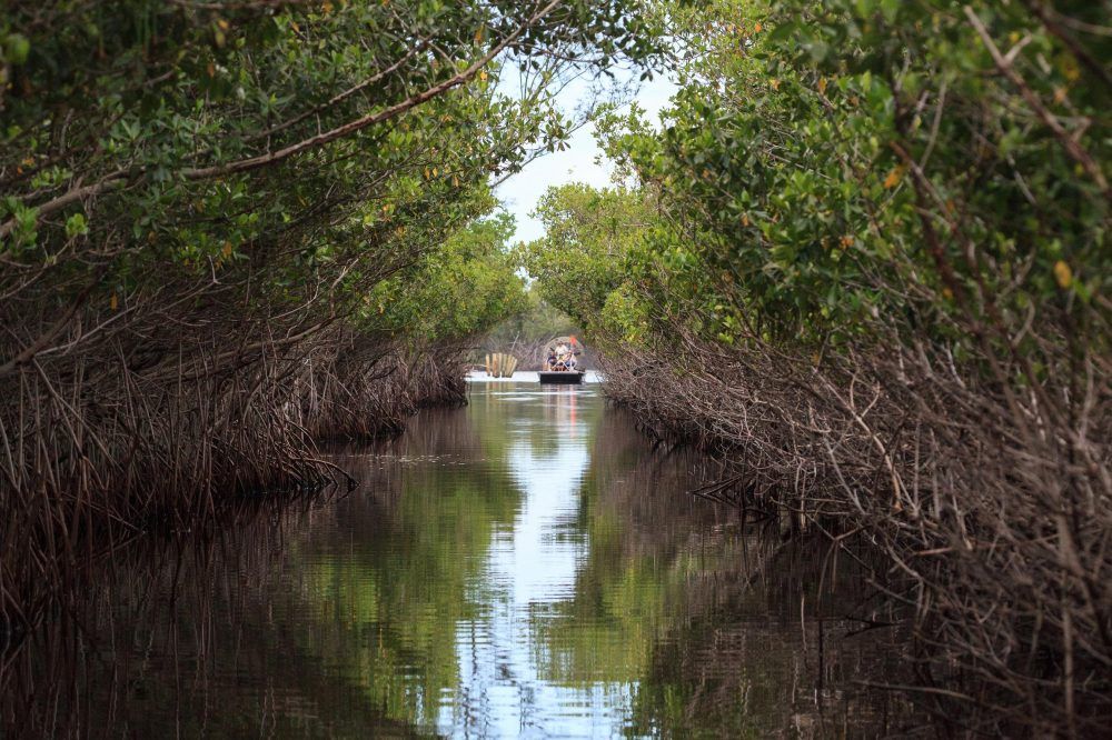 Above: Boating in the Everglades. Photo via Pond5.