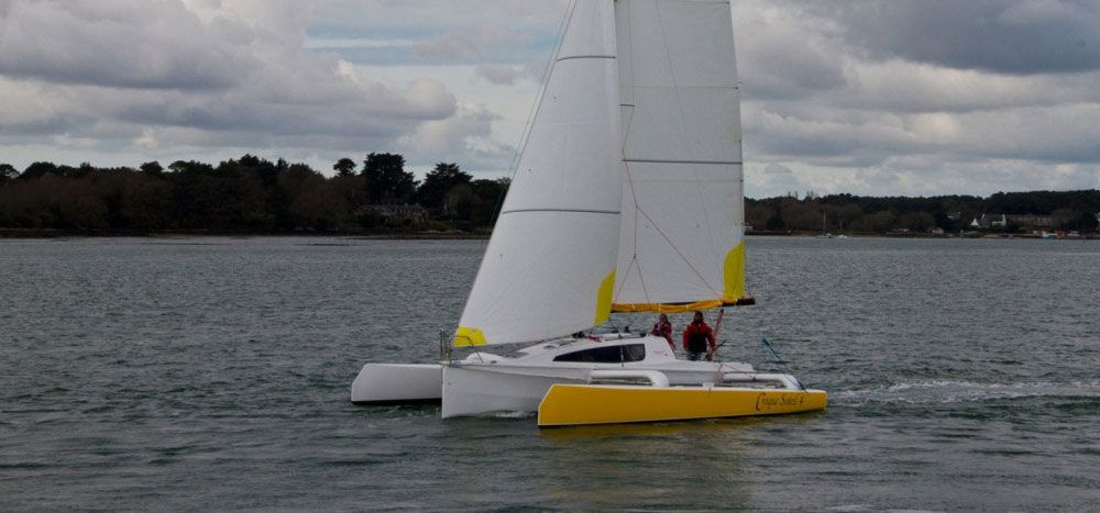 Tricat 30