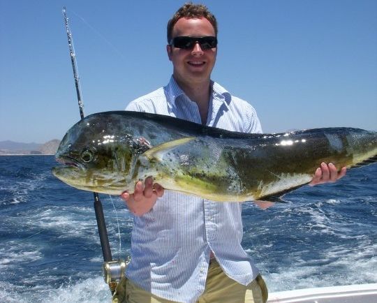 dorado-12453 John with his dorado. (Brothers being brothers, Adam is holding out on the photo of John's striped marlin.)