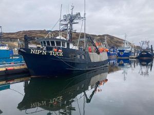 Custom Longline/Tender/Crabber Fishing boat "Nip'n Tuck" docked in harbor, Custom Longline/Tender/Crabber, 1979 model.