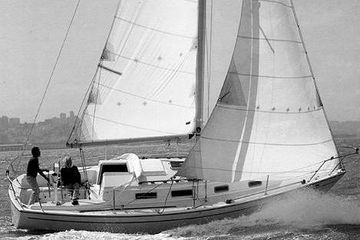 1983 Pearson 303