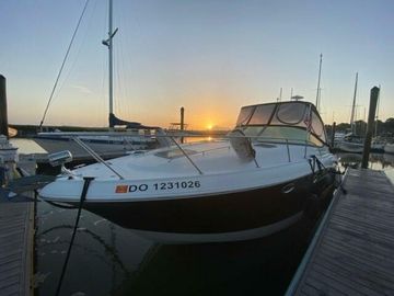 2008 Chaparral 310 Signature