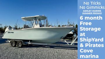 2025 Sea Pro 262 DLX