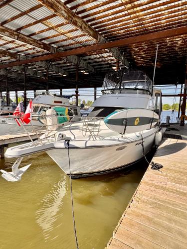 1993 Carver 390