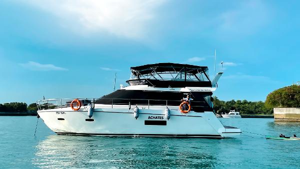 Sealine F42