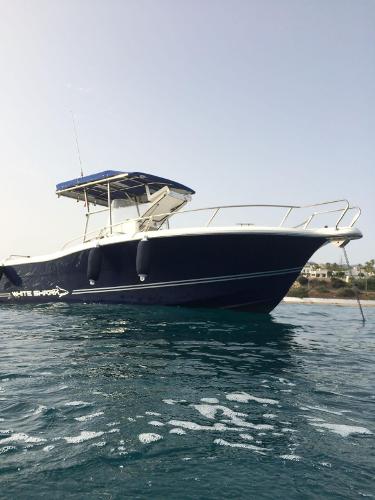 2005 White Shark 265