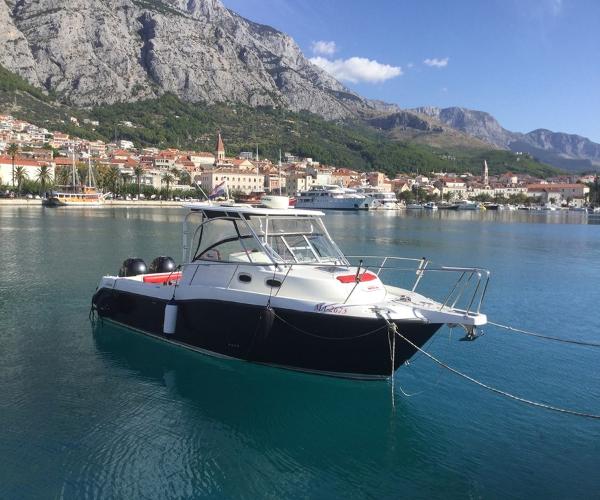 2005 Boston Whaler 305