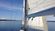 Schock New York 36 thumbnail