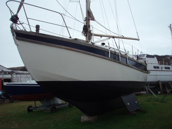 1981 Golden Hind 31