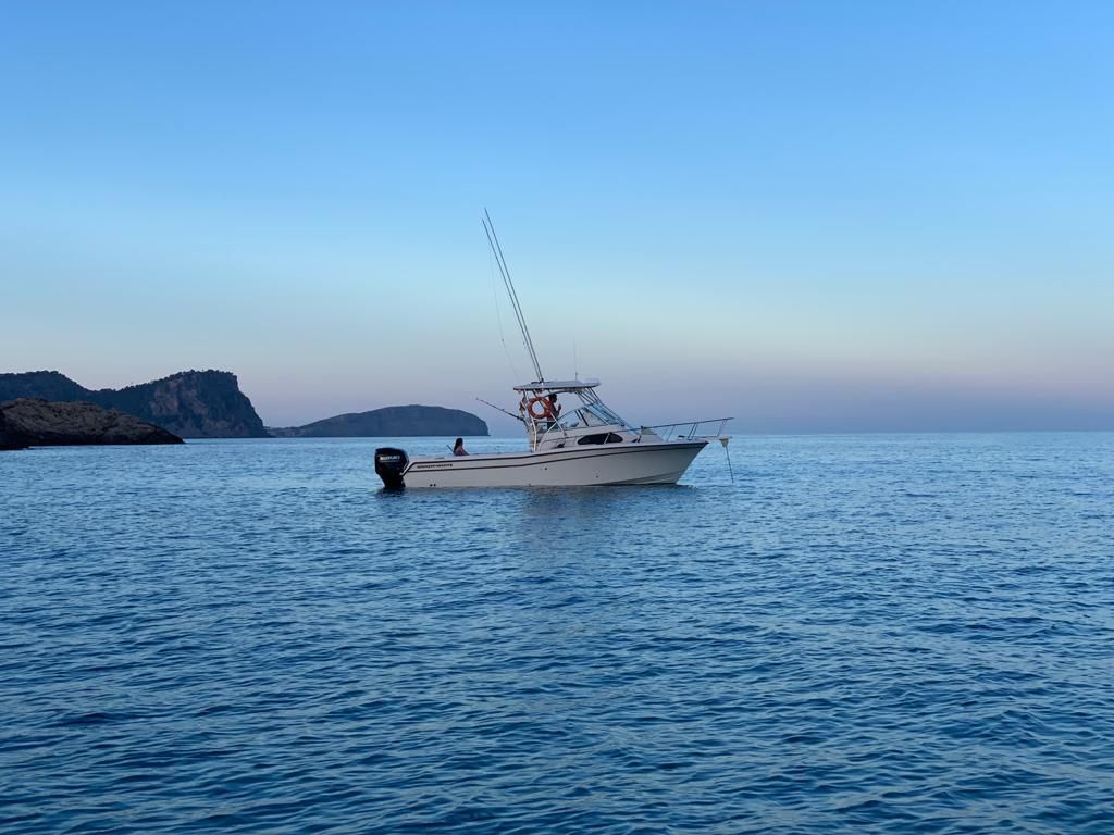 2019 Grady-White Sailfish 282