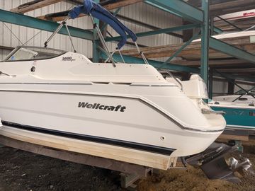 2001 Wellcraft 2600 Martinique