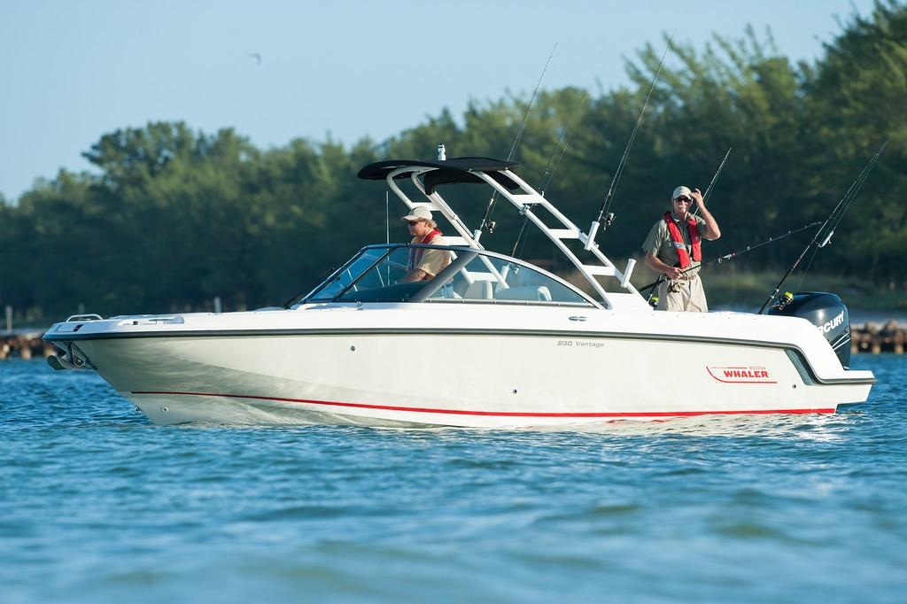 Boston Whaler Boat image