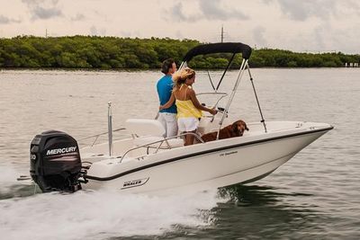 Boston Whaler 170 Dauntless Boat