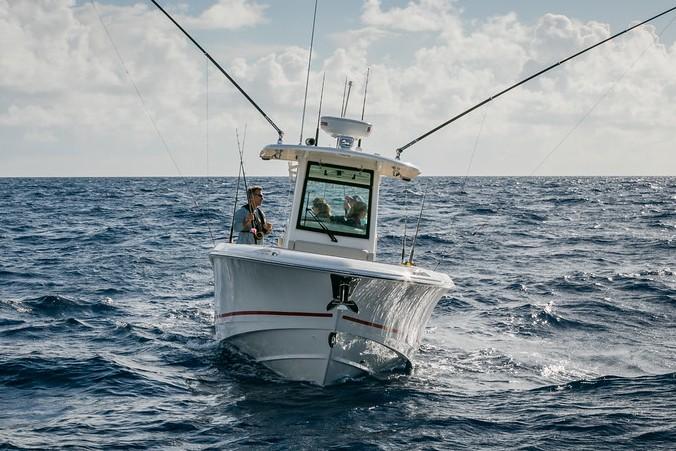 Boston Whaler Boat image