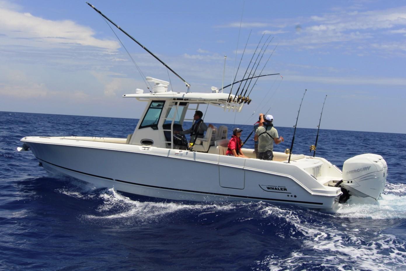 Boston Whaler Boat image