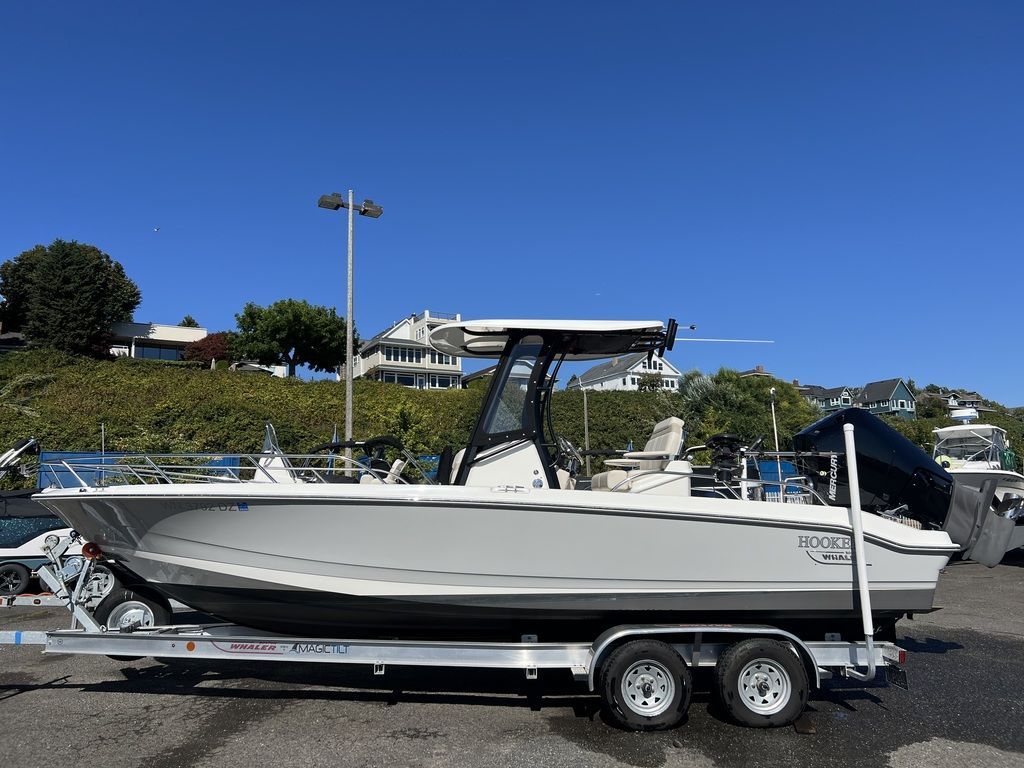 Boston Whaler 250 Dauntless