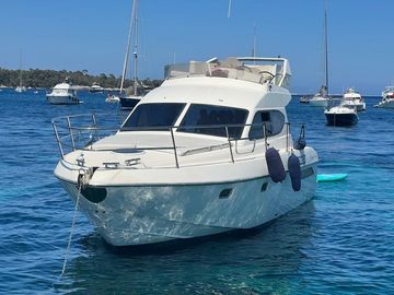 2001 Alpa 36