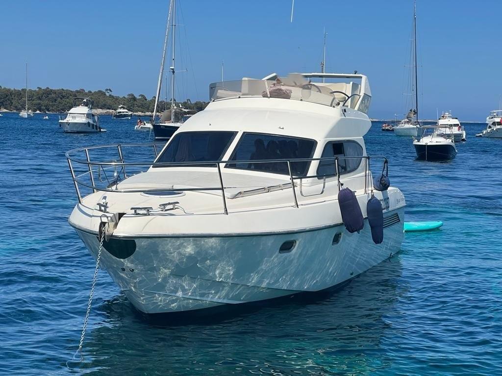 2001 Alpa 36