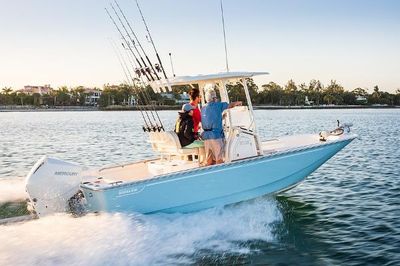 Boston Whaler 210 Montauk Boat