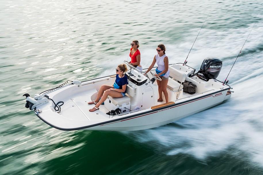 Boston Whaler Boat image