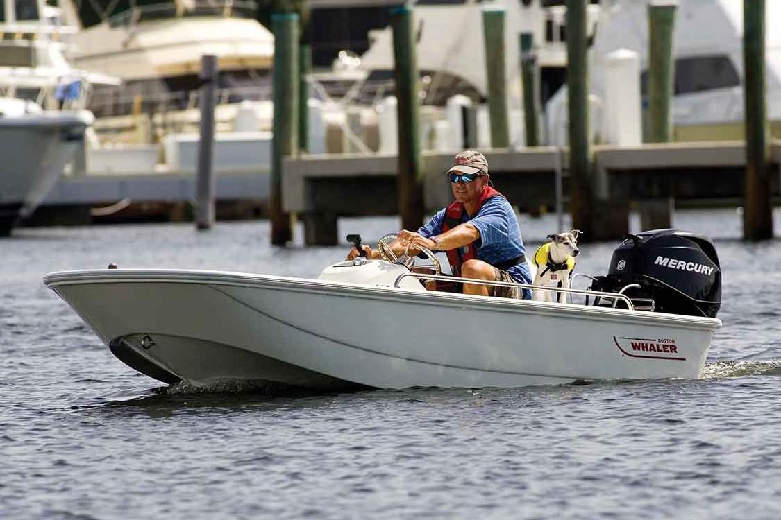 Boston Whaler Boat image