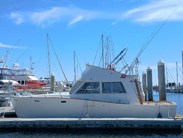 1978 Pacific Bluefin SPF