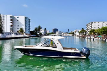 2015 Scout 275 Dorado