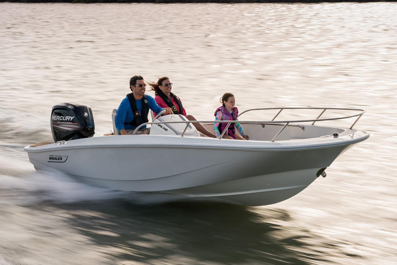 Boston Whaler Boat image